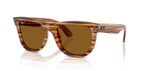 RayBan WAYFARER REVERSE